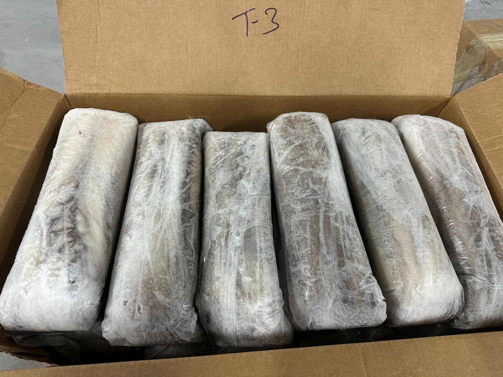 Iced octopus laid out for grading on the processing line at Maurimar — image 3 of 10
