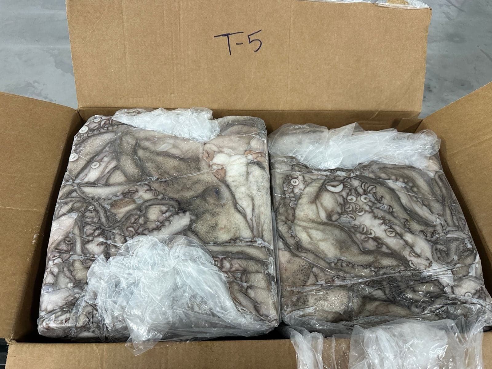 Iced octopus master cartons prepared for reefer container loading at Maurimar — image 10 of 10